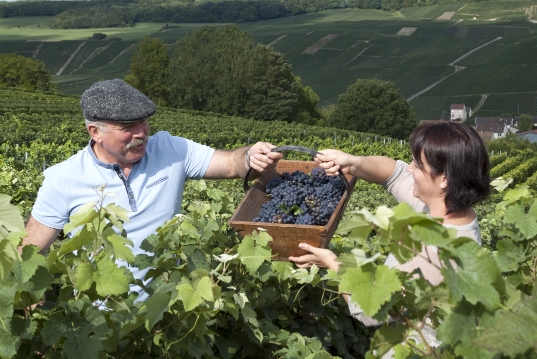 champagne tours sur marne