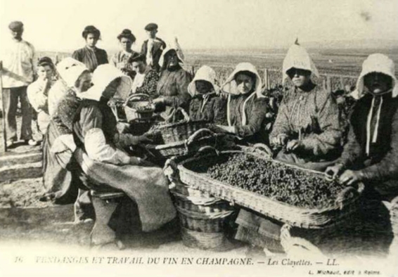 champagne tours sur marne